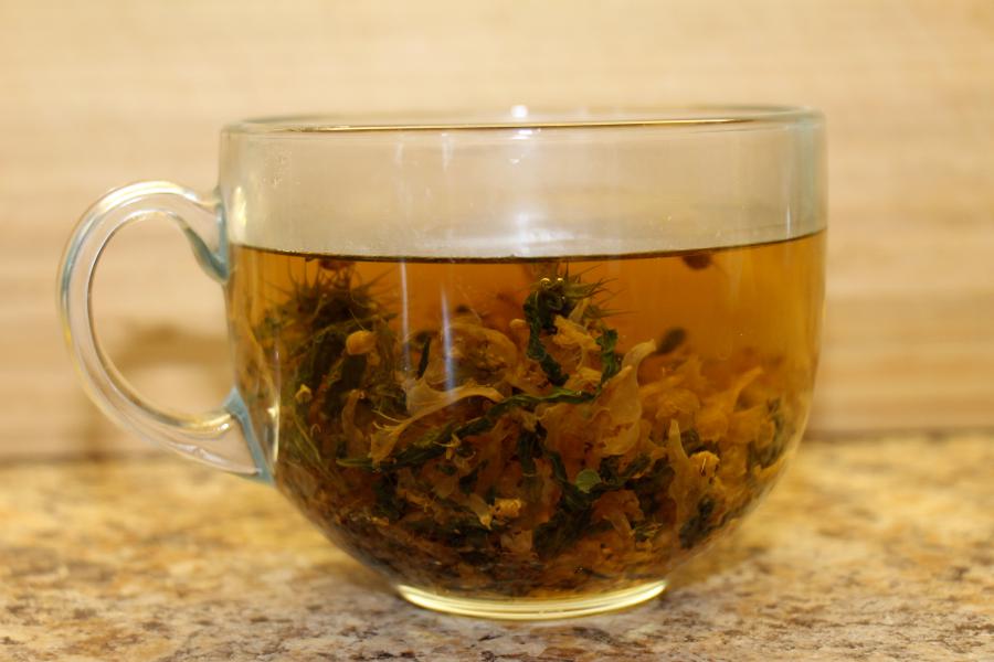 Как приготовить чай из листьев крапивы фото рецепт ферментации: польза и вред +отзыв